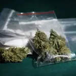 Aprehendida con marihuana y cocaína enfrenta un proceso penal