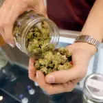 Sentenciado a 19 años de prisión por tráfico de drogas en alta escala