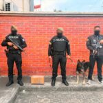 Policía frustra envío de cocaína líquida camuflada en aparentes conservas hacia Australia