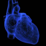 El corazón que cabe en un chip: el avance español que puede cambiar el desarrollo de nuevos fármacos