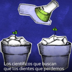 Los científicos que buscan que los dientes que perdemos vuelvan a crecer
