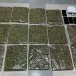 3 procesados por presunto tráfico de más de 6,8 kilos de marihuana