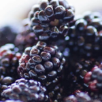 ¿Quieres mejorar tu salud? ¡Come moras!