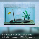 Las cosas más extrañas que interfieren con el Wi-Fi y cómo mejorar la señal
