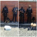 Incautamos cerca de 18 kilos de cocaína que tenían como destino Países Bajos