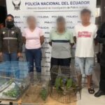 Tres detenidos por presunto tráfico y comercialización de fauna silvestre