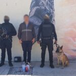 Policía Nacional evita el envío de 2.040 dosis de cocaína con destino a España