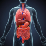 Signos y Síntomas del Cáncer