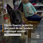Ella es Guerra, la perrita que pasó de ser tendera a entregar ayudas tras el terremoto en el Valle