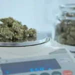 Operativo en Paján deja 16 procesados por tráfico de drogas y armas