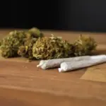 2 sentenciados a 19 años por tráfico de marihuana