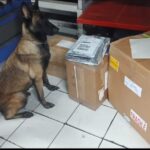 Canes detectores localizaron droga oculta en encomiendas que pretendían llegar a Arabia Saudita y Londres