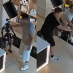 Un robot se encara con un humano después de que este le dé un empujón: “Es puro ‘show”