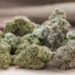 Dos procesados cumplen prisión preventiva por transportar marihuana