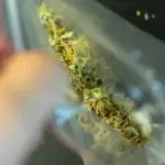 Prisión preventiva para procesado por tráfico de drogas en Riobamba
