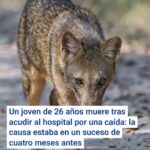 Un joven de 26 años muere tras acudir al hospital por una caída: la causa estaba en un suceso de cuatro meses antes