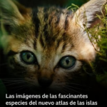 Las imágenes de las fascinantes especies del nuevo atlas de las islas Galápagos