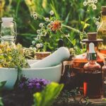 Estas son 8 plantas medicinales bastante efectivas