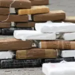 Representante legal de exportadora es procesado por tráfico de drogas a gran escala